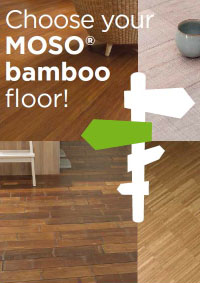 Moso Africa