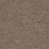Field-Mouse