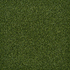 Putt Birdie