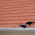 Roofs