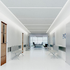 Anti-Bacterial Paint