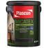 Plascon Micatex