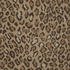 Belgotex Anne Colle - Panthera