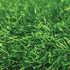 Eco Green