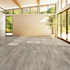 Pine Reclaimed