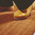 Coir