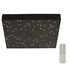 Contempory decorative ceiling light - Black (C679B)