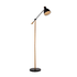 Tai Arched Neck Floor Light - Black (FL218B)