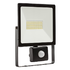 Wall Mounted Floodlight with Sensor - Black (FS293BP)