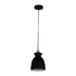 Charlotte Dome Shaded Pendant - Black (P981B)