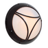 Euro Tri-Bar Bulkhead - Black (300mm)