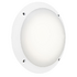 Lucia Plain Bulkhead - White (300mm)