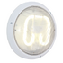 Euro Clear Plain Bulkhead - White (270mm)