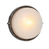 Plain Bulkhead - Black/Gold (240mm)