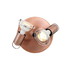 Mini Disc 2 Lamp Plate Spotlight - Copper (190mm)