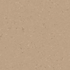 Warm Beige