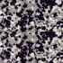 Domino