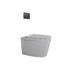Zambezi Rimless WHP with Concealed Cistern and Black Actuator Plate