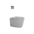 Zambezi Rimless WHP with Concealed Cistern and White Actuator Plate