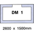 DM 1