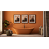 Bathroom and Kitchen Paints