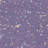 Polysafe Astral PUR - Space Mauve