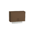 BR-101 paper towel dispenser
