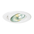 30V Tilt Downlight - White (AK10-W)