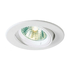 230V Tilt Downlight - Satin Chrome (AK20-SC)