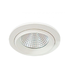 230V Downlight - White (LDL030DMW)