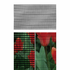 SAVI Euro OUTSIGHT Enhanced View Insect Screen BLACK 1,5m wide x 30m roll (Code: SEFSOUTSIGHTB1.5)