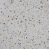 Terra-Stone - Classic Polished 1W33YBHYPSL600