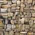 Petrified Wood